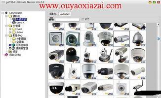 国产分类视频,多元题材,精彩纷呈